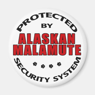 Alaskan Malamute Security Magnet