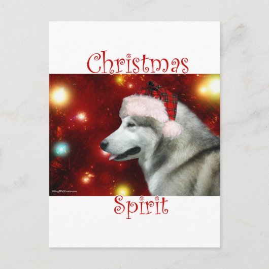 Alaskan Malamute Spirit Postkarte (Vorderseite)
