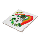 Alaskan Malamute St. Patrick's Day Fliese (Seite)