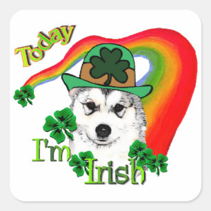 Alaskan Malamute St. Patrick's Day Quadratischer Aufkleber