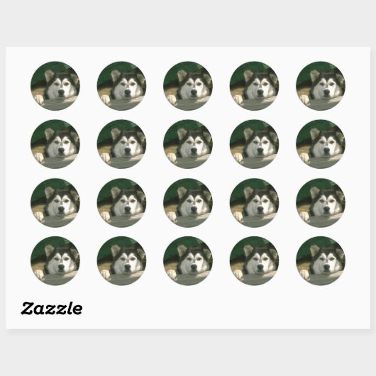 Alaskan Malamute Sticker (Blatt)
