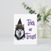 Alaskan Malamute Trick Postkarte (Stehend Vorderseite)