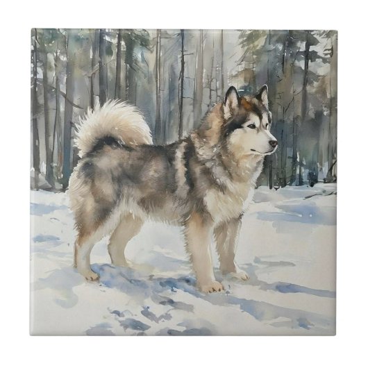 Alaskan Malamute Trinket Box Fliese (Vorderseite)