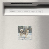 Alaskan Malamute Trinket Box Magnet (In Situ (Geschirrspüler))