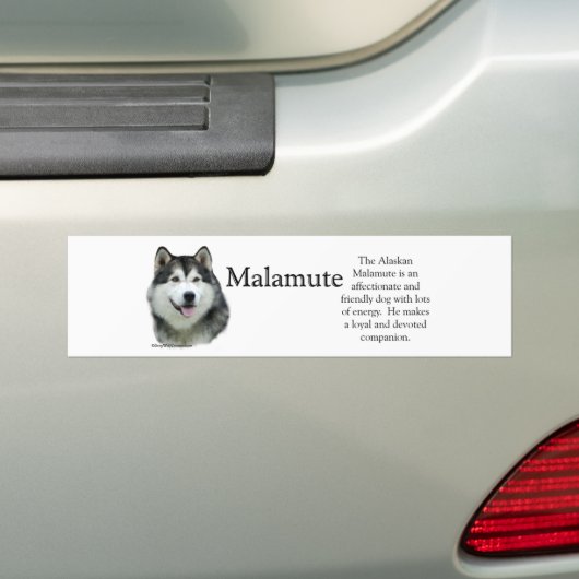 Alaskan Malamute Trivia Autoaufkleber (Auf Auto)