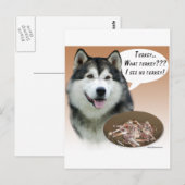 Alaskan Malamute Türkei Postkarte (Vorne/Hinten)