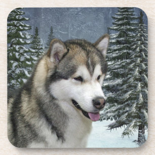 Alaskan Malamute Untersetzer