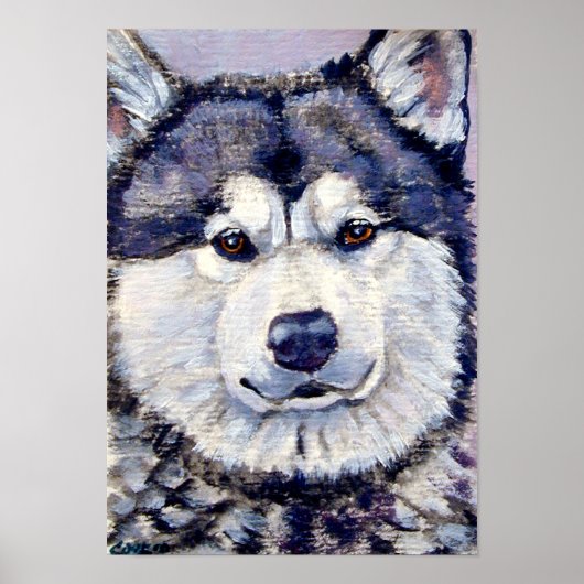 Alaskan Malamute Wall Print Poster (Vorne)