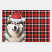 Alaskan Malamute Weihnachts-Dog Red Holiday Karier Geschenkpapier Set (Vorderseite 3)