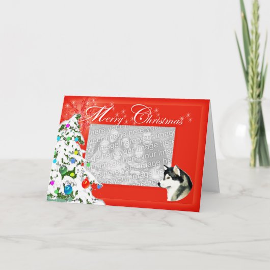 Alaskan Malamute Weihnachts-Fotokarte Feiertagskarte (Vorderseite)
