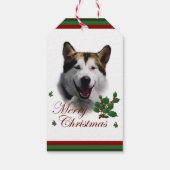 Alaskan Malamute Weihnachtsmarken Geschenkanhänger (Rückseite)