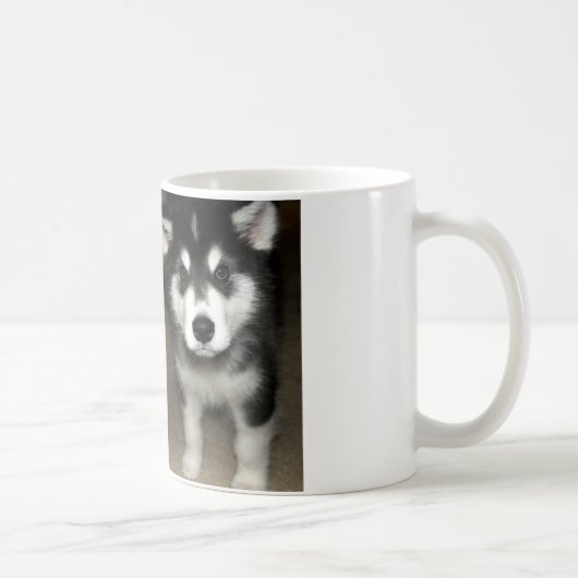 Alaskan malamute Welpe 3 Kaffeetasse (Rechts)