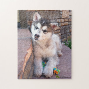 Alaskan Malamute Welpe Head Tilt Fotografie Puzzle