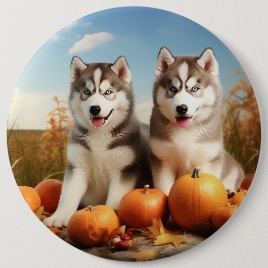 Alaskan Malamute Welpe Herbst Delight Pumpkin Button (Vorderseite)