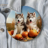 Alaskan Malamute Welpe Herbst Delight Pumpkin Button (Beispiel)