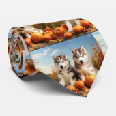 Alaskan Malamute Welpe Herbst Delight Pumpkin Krawatte (Gerollt)