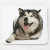 Alaskan Malamute Welpe Hund Mousepad (Vorne)