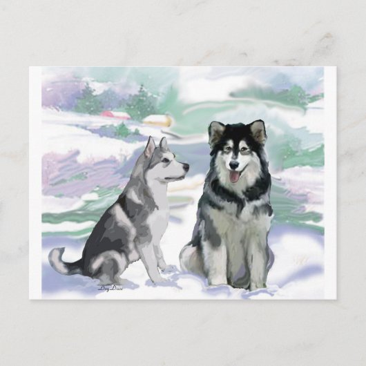 Alaskan Malamute Winter Szene Postkarte (Vorderseite)