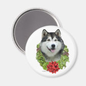 Alaskan Malamute Wreath - Magnet (Vorderseite/Rückseite)