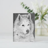 Alaskan Malamute Zeichnend Postkarte (Stehend Vorderseite)