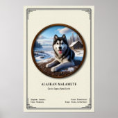 Alaskan Malamute Zoology Series Poster (Vorne)