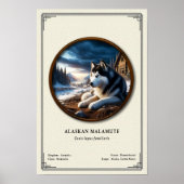 Alaskan Malamute Zoology Series Poster (Vorne)