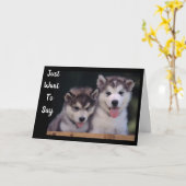 "ALASKAN MALAMUTES BIRTHTAY WISHHHES" KARTE (Gelbe Blume)