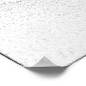 Alaskan Malamutes Poster (Ecke)