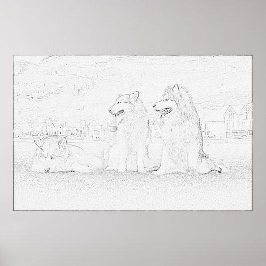 Alaskan Malamutes Poster (Vorne)