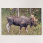 Alaskan Moose w/Antlers Foto Designed Puzzle (Horizontal)