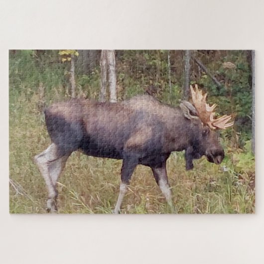 Alaskan Moose w/Antlers Foto Designed Puzzle (Horizontal)