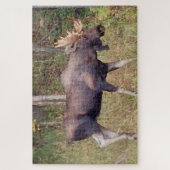 Alaskan Moose w/Antlers Foto Designed Puzzle (Vertikal)
