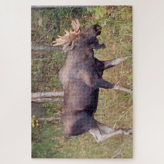 Alaskan Moose w/Antlers Foto Designed Puzzle (Vertikal)