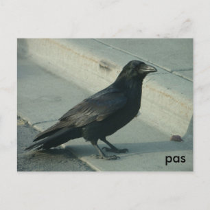 Alaskan Postkarte