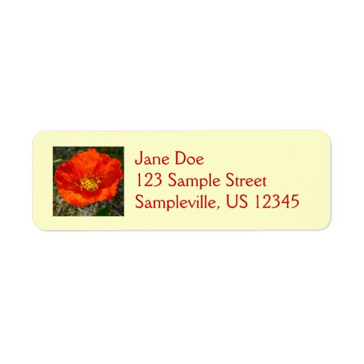 Alaskan Red Poppy Colorful Blume (Vorne)