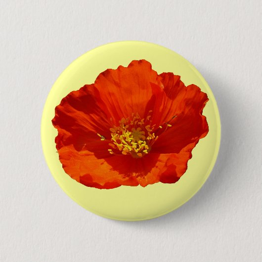 Alaskan Red Poppy Colorful Blume Button (Vorderseite)