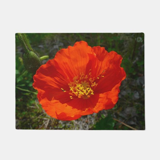 Alaskan Red Poppy Colorful Blume Fußmatte (Vorderseite)