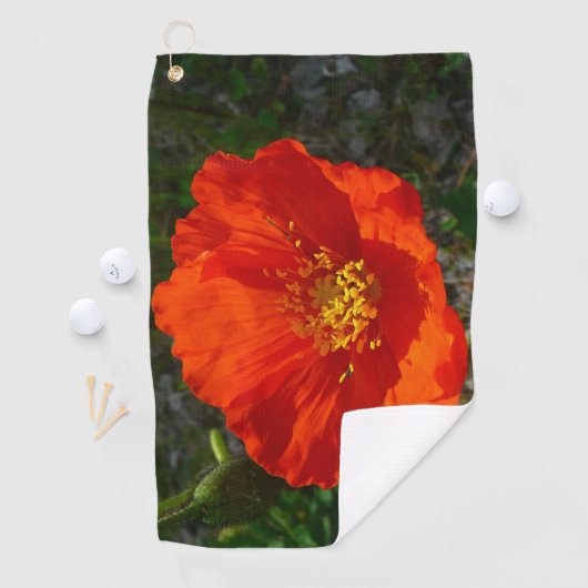 Alaskan Red Poppy Colorful Blume Golfhandtuch (Insitu)