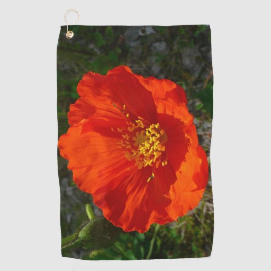 Alaskan Red Poppy Colorful Blume Golfhandtuch (Vorderseite)