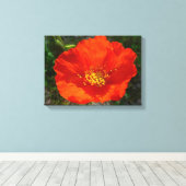 Alaskan Red Poppy Colorful Blume Leinwanddruck (Insitu (Holzboden))