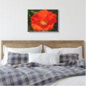 Alaskan Red Poppy Colorful Blume Leinwanddruck (Insitu (Schlafzimmer))