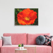 Alaskan Red Poppy Colorful Blume Leinwanddruck (Insitu (Wohnzimmer))