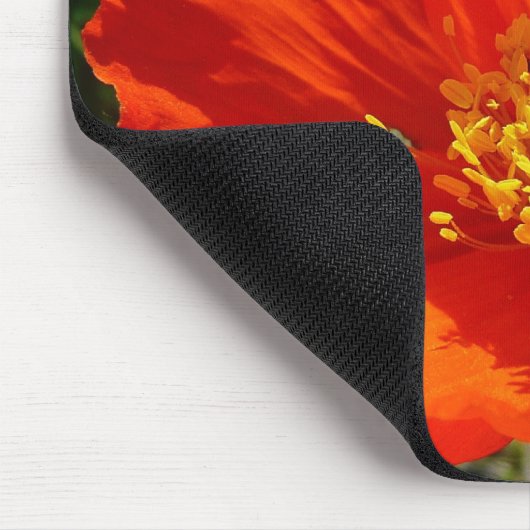 Alaskan Red Poppy Colorful Blume Mousepad (Ecke)