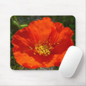 Alaskan Red Poppy Colorful Blume Mousepad (Mit Mouse)