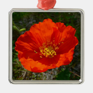 Alaskan Red Poppy Colorful Blume Ornament Aus Metall