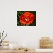 Alaskan Red Poppy Colorful Blume Poster (Küche)