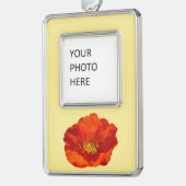 Alaskan Red Poppy Colorful Blume Rahmen-Ornament Silber (Links)