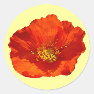 Alaskan Red Poppy Colorful Blume Runder Aufkleber