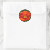 Alaskan Red Poppy Colorful Blume Runder Aufkleber (Tasche)