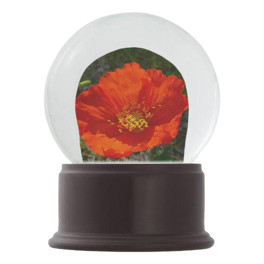Alaskan Red Poppy Colorful Blume Schneekugel (Vorderseite)